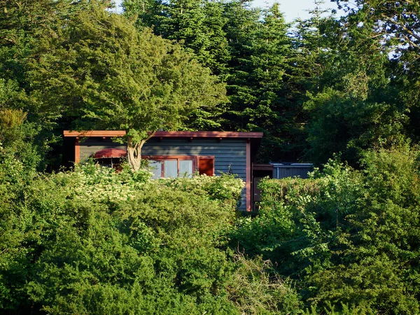 自然の休暇の場所のための素晴らしい場所として森の中の美しい小さな木造住宅 — ストック写真