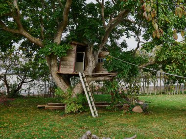 Beautiful creative handmade tree house for kids in backyard of a house                                clipart