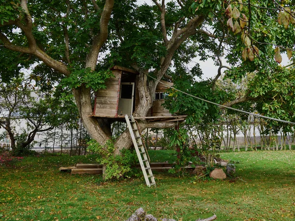 Bela Casa Árvore Artesanal Criativa Para Crianças Quintal Uma Casa — Fotografia de Stock