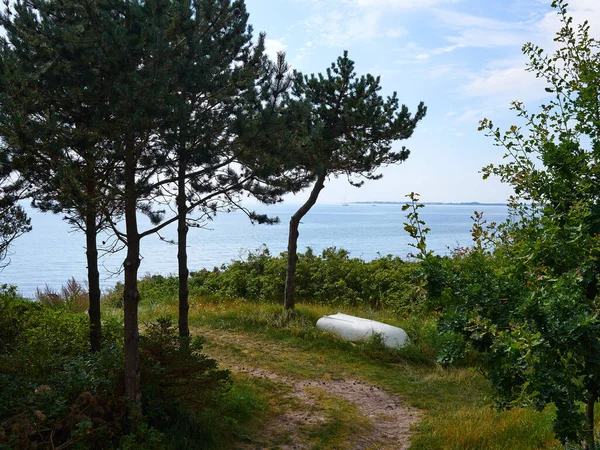Ruhigen Wanderweg Wanderweg Auf Grünem Gras Meer Ideal Für Die — Stockfoto