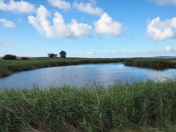 Salt Sea Marsh Full Tide Funen Dinamarca Ideal Para Caminatas — Foto de Stock