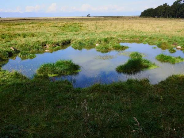 Salt Sea Marsh Full Tide Funen Dinamarca Ideal Para Caminatas —  Fotos de Stock
