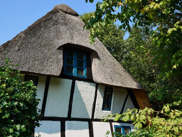 Ancienne Maison Campagne Danoise Style Classique Avec Toit Paille Chaume — Photo