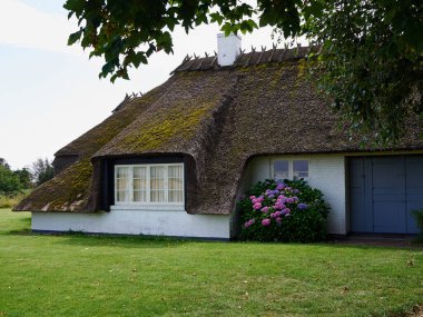 Danimarka samanlı saman damlı geleneksel klasik Danimarka tarzı kır evi