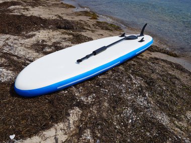 Sahildeki raket tahtasında deniz aşırı spor aktiviteleri için ayağa kalkın.