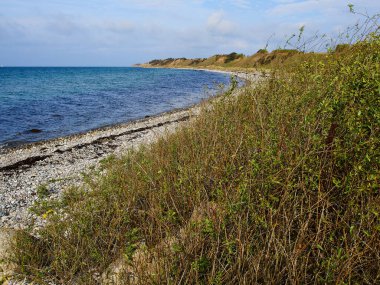 Yazın Danimarka 'da tipik güzel, doğal Danimarka sahil manzarası.