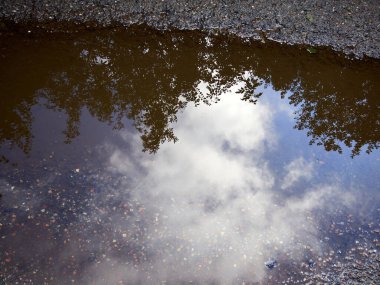 Çalılar ve bulutlar sokaktaki bir su birikintisine yansıyor. Grafikler ve metin için açık bir çıkıntı var.