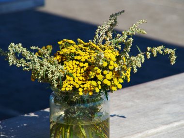 Güzel sarı tansi (Tanasetum vulgare) çiçekleri basit cam bir vazoda
