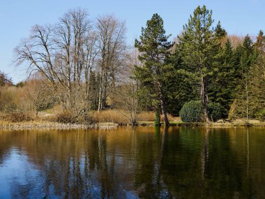 Faaborg Danimarka yakınlarındaki ağaçlarla çevrili güzel, sakin bir göl. Doğa ve açık hava gezileri arka plan görüntüsü.