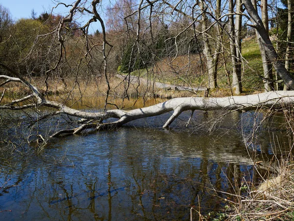 Beau Petit Lac Calme Entouré Arbres Près Faaborg Danemark Image — Photo