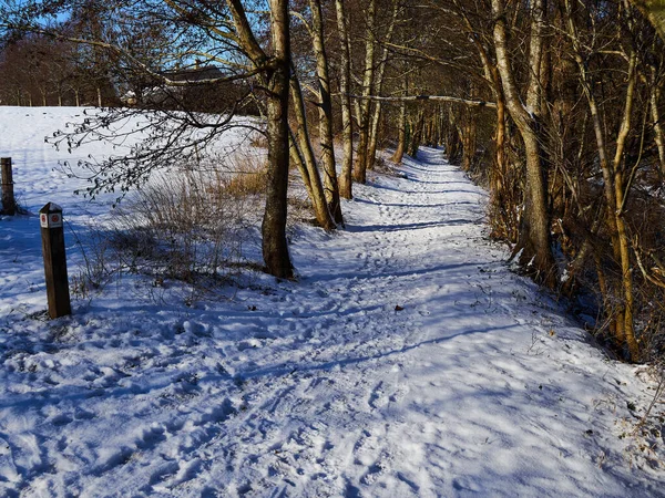 Parque Ciudad Sendero Cubierto Nieve Ideal Para Actividad Aire Libre —  Fotos de Stock