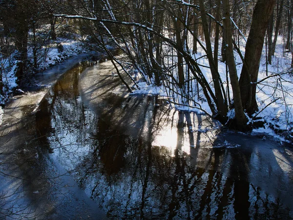 Parque Ciudad Sendero Cubierto Nieve Ideal Para Actividad Aire Libre — Foto de Stock