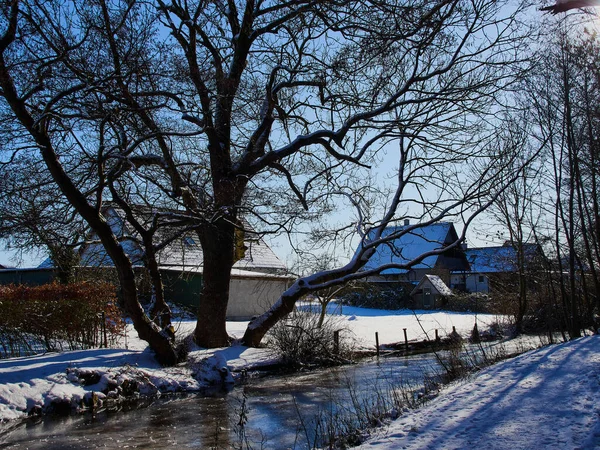Şehir Parkında Yürüyüş Yolu Karla Kaplıdır Kışın Açık Hava Aktivitesi — Stok fotoğraf