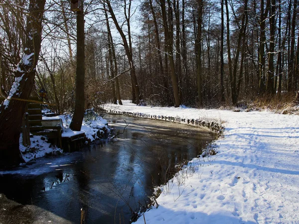 Parc Municipal Sentier Pédestre Couvert Neige Idéal Pour Activité Hiver — Photo