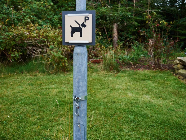 Honden Huisdieren Parkeerplaats Bij Een Winkel Met Een Haak Een — Stockfoto