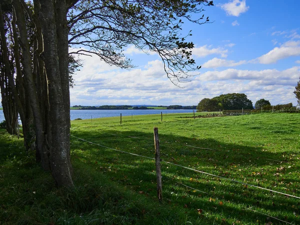 Typisch Mooie Natuurlijke Deense Kustlijn Strand Landschap Zomer Fyn Funen — Stockfoto