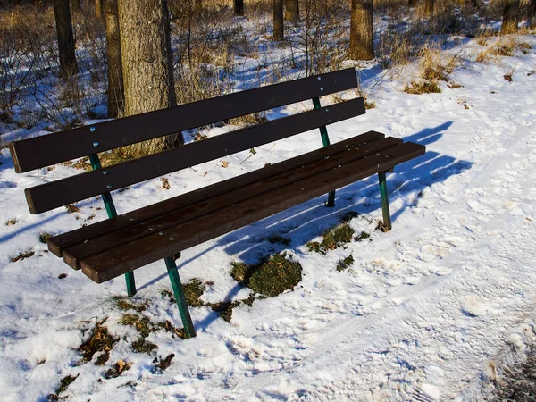 Kışın Şehir Parkı Yapayalnız Bank Karla Kaplı Çimler Manzarayla — Stok fotoğraf