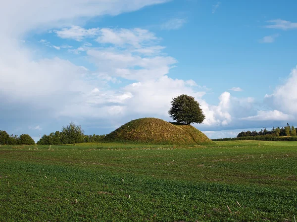 Viking age grave burial site — Stock Photo, Image