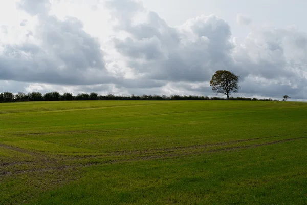 Stormwolken boven een veld — Stockfoto