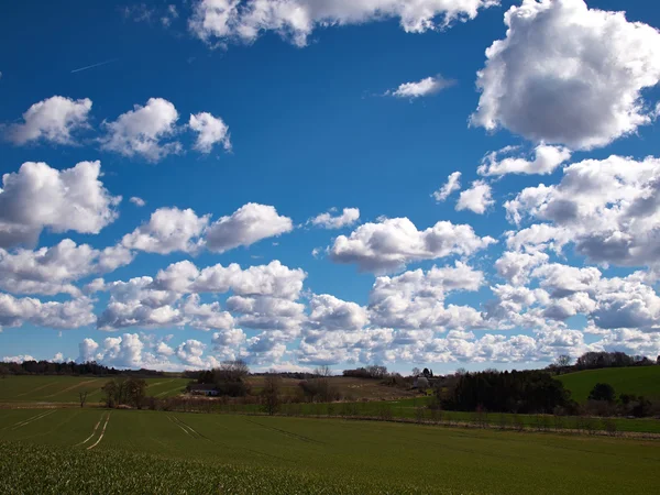 Campo verde e céu azul — Fotografia de Stock