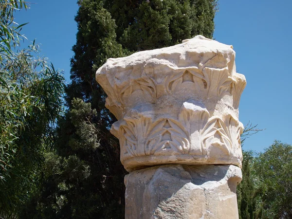 Colonna di marmo classico romano ionico greco corinzio — Foto Stock