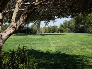 Yeşil çim çim alan büyük bahçe içinde