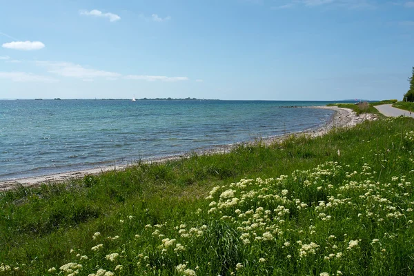 Beautiful coast line beach Denmark — Stock Photo, Image