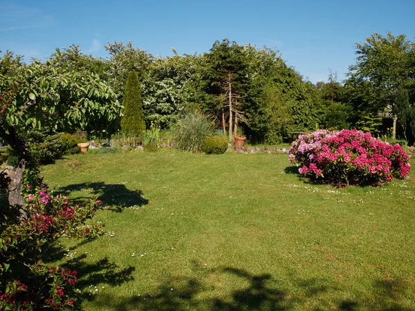 Attractive English style formal garden — Stock Photo, Image