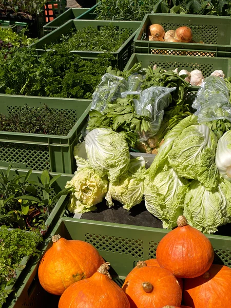 Verse biologische groenten op boerenmarkt — Stockfoto