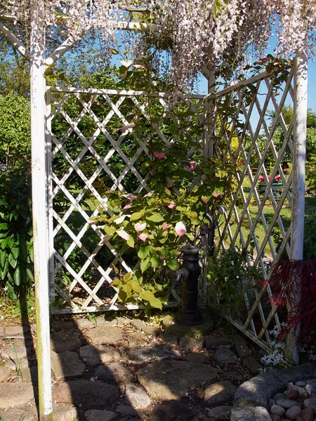 Pergola lusthus i en vacker trädgård — Stockfoto