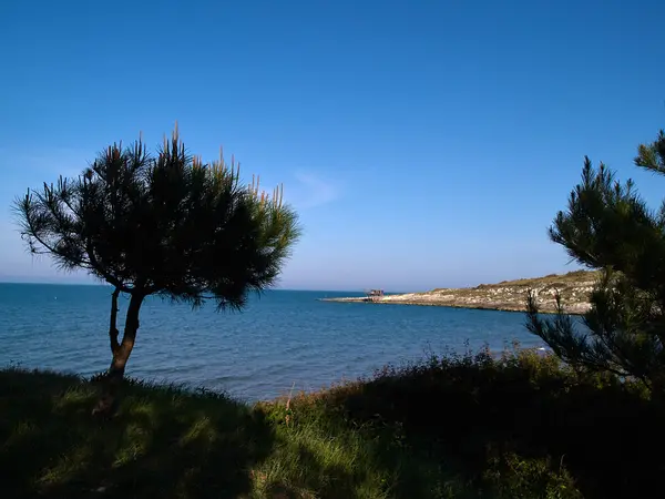 Strand a Gargano Nemzeti Park, Vieste, Olaszország — Stock Fotó