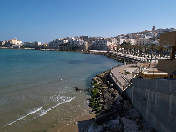 Old seaside town of Vieste in Puglia, Italy — Stock Photo, Image