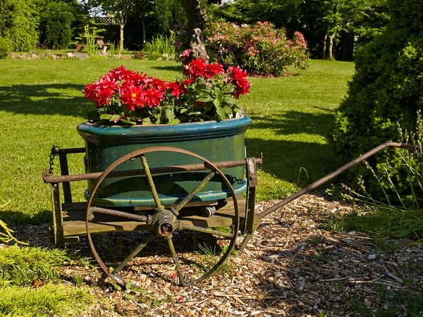 Wystroju ogrodu w starych wagonów — Zdjęcie stockowe