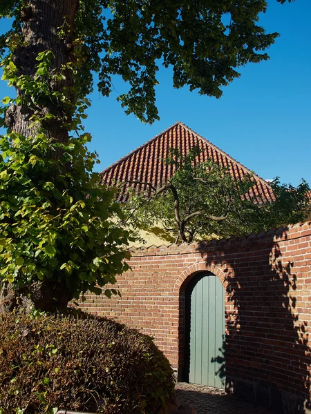 Stedelijke natuur boom in een straat — Stockfoto