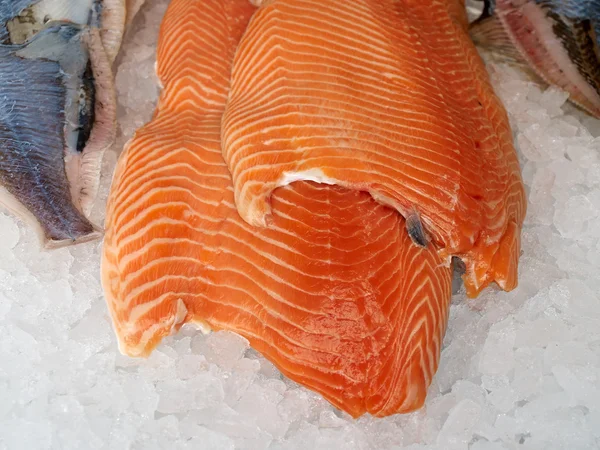 Fresh salmon on a layer of ice — Stock Photo, Image