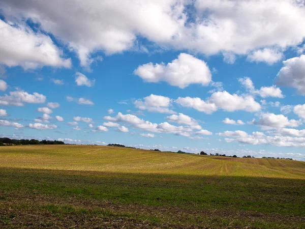 Green field and blue sky — Stock Photo, Image