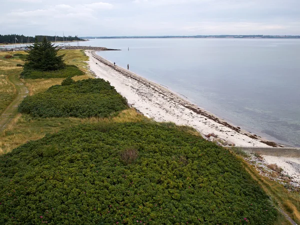 Vackra kust linjen stranden Danmark — Stockfoto