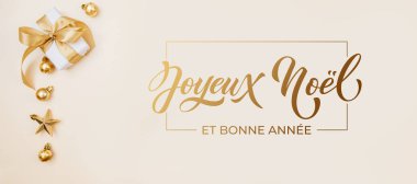 Joyeux Noel ve Bonee Anne. Fransız Mutlu Noeller Modern kaligrafi, sezon selamları için çıkartma üzerine yazılmış. Tebrik kartı, çerçeve ve afiş.