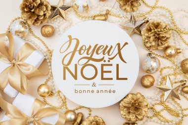 Joyeux Noel ve Bonee Anne. Fransız Mutlu Noeller Modern kaligrafi, sezon selamları için çıkartma üzerine yazılmış. Tebrik kartı, çerçeve ve afiş.