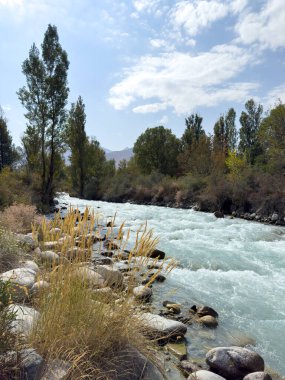 Kırgızistan 'da turkuaz buzul suyunun bulunduğu manzaralı dağ nehri kayaların, ağaçların ve kuru tepelerin arasından açık yaz gökyüzü altında akıyor..