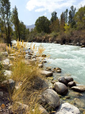 Kırgızistan 'da turkuaz buzul suyunun bulunduğu manzaralı dağ nehri kayaların, ağaçların ve kuru tepelerin arasından açık yaz gökyüzü altında akıyor..