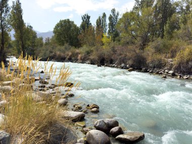 Kırgızistan 'da turkuaz buzul suyunun bulunduğu manzaralı dağ nehri kayaların, ağaçların ve kuru tepelerin arasından açık yaz gökyüzü altında akıyor..