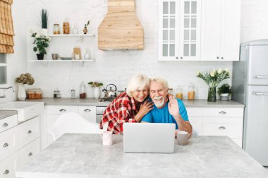 Evde dizüstü bilgisayarı olan yaşlı çift.