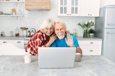 Evde dizüstü bilgisayarı olan yaşlı çift.