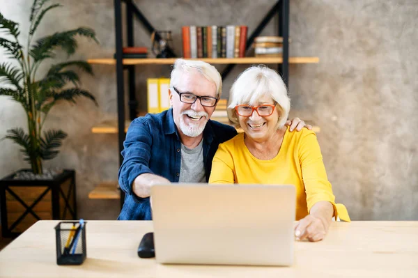 Šťastný starší pár používá notebook v interiéru — Stock fotografie