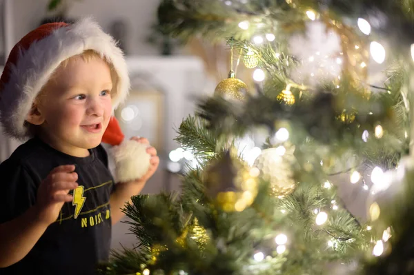 Uma criança bonita em santa chapéu perto da árvore de Natal — Fotografia de Stock