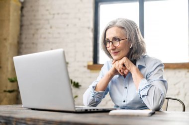 Dizüstü bilgisayarı kullanan yaşlı kadın. 