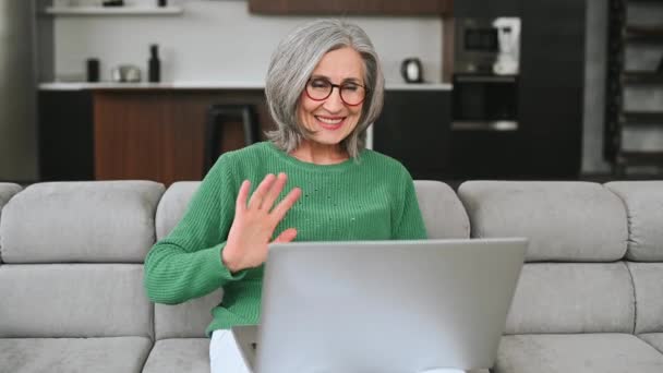 Mature gray-haired businesswoman talking online — Stock Video