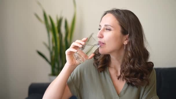 Gyönyörű fiatal nő iszik tiszta friss vizet — Stock videók