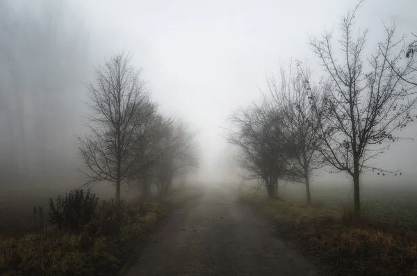 Paisaje con un camino en la niebla . — Foto de Stock